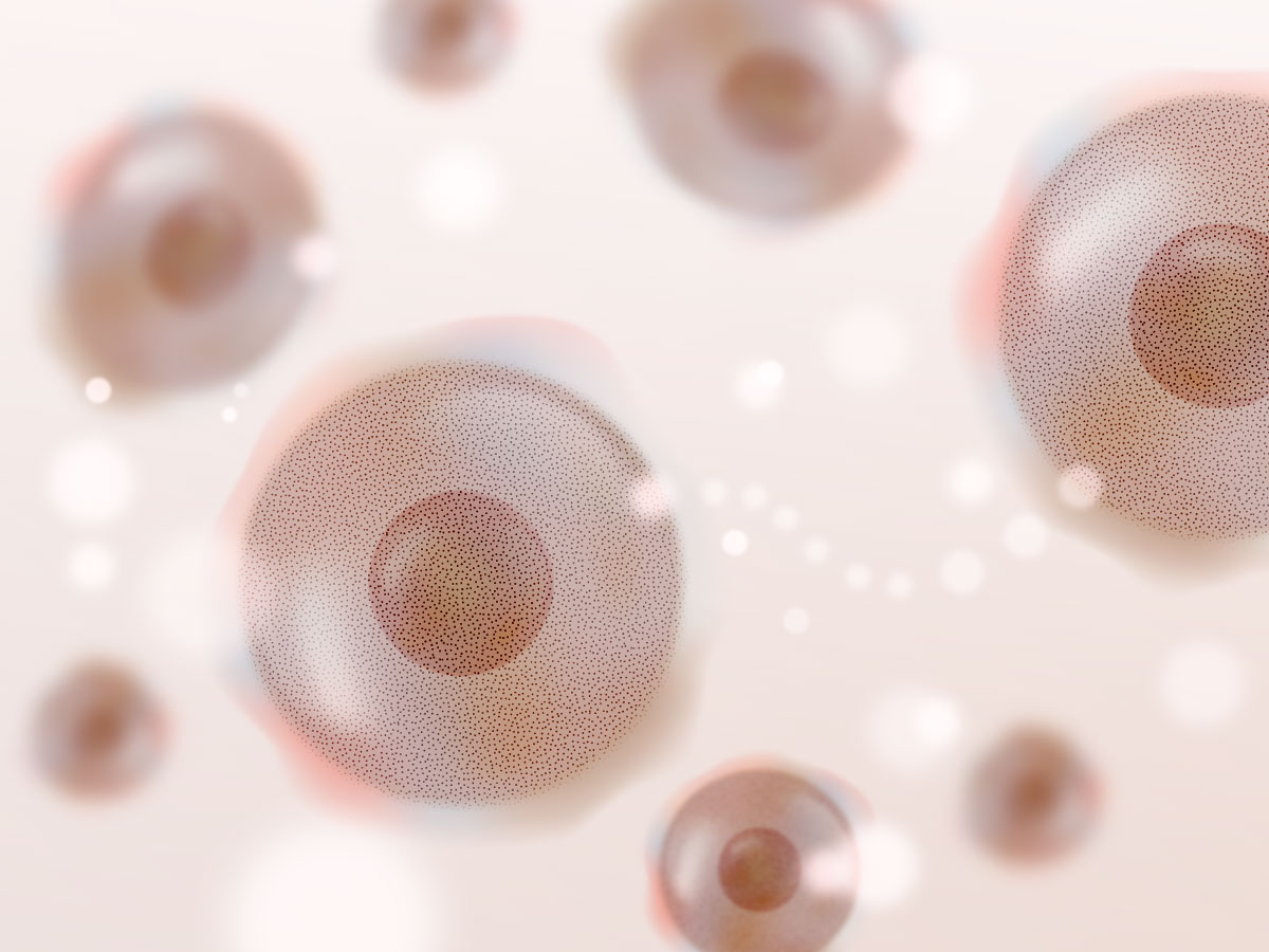 feat0<br />
<b>Warning</b>:  Undefined variable $i in <b>/home/xs171376/reunet.jp/public_html/trial20/wp/wp-content/themes/reutrial/parts/loop_features.php</b> on line <b>20</b><br />
<br />
<b>Warning</b>:  Undefined variable $count in <b>/home/xs171376/reunet.jp/public_html/trial20/wp/wp-content/themes/reutrial/parts/loop_features.php</b> on line <b>20</b><br />
2